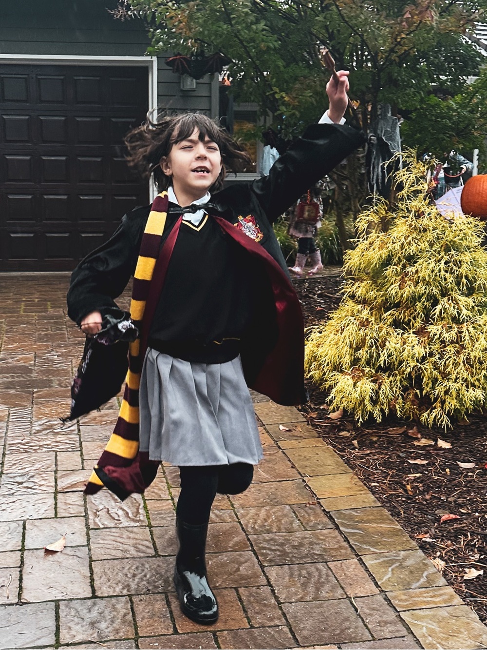 High Quality Harry Potter Costume